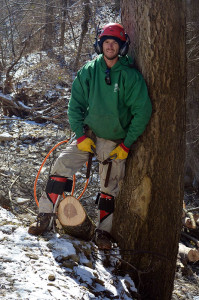 Pikes Tree Care Professional Tree Service
